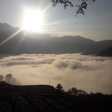 Alishan Shanyunhua B&B Homestay Meishan ภายนอก รูปภาพ