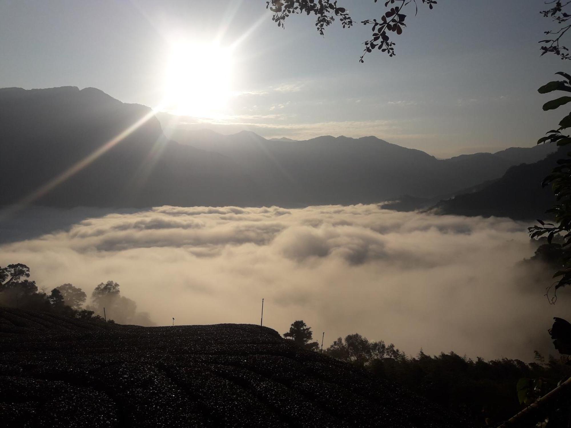 Alishan Shanyunhua B&B Homestay Meishan ภายนอก รูปภาพ