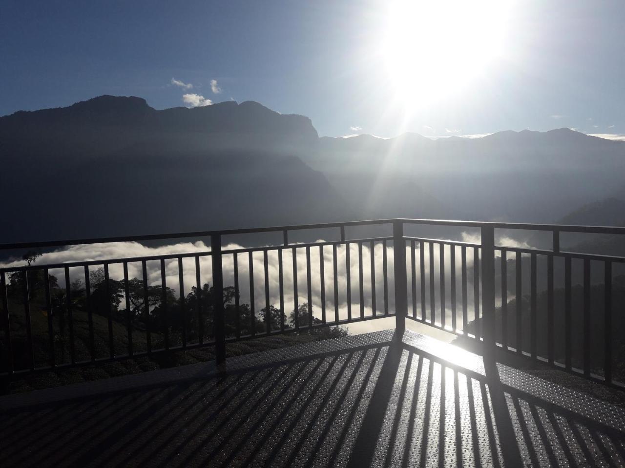 Alishan Shanyunhua B&B Homestay Meishan ภายนอก รูปภาพ